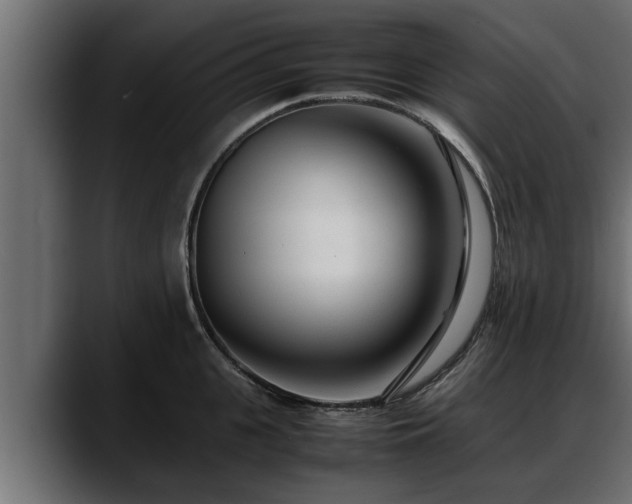 X0000088360951200705291304