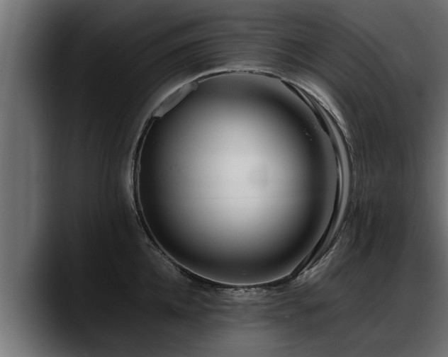 X0000088360952200705291305