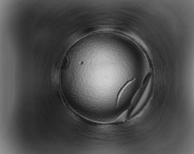 X0000088360953200705291305