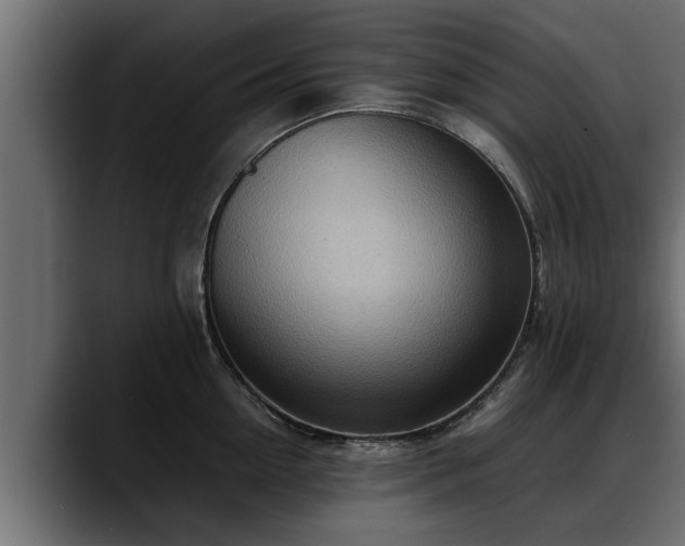 X0000088360954200705291305