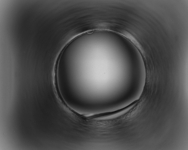 X0000088360955200705291305