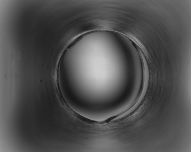 X0000088360956200705291305