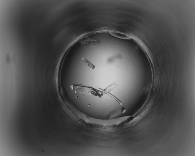 X0000088360957200705291305