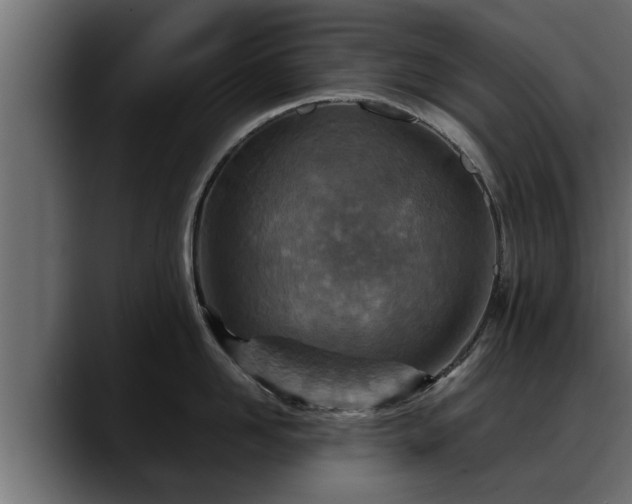 X0000088360958200705291305