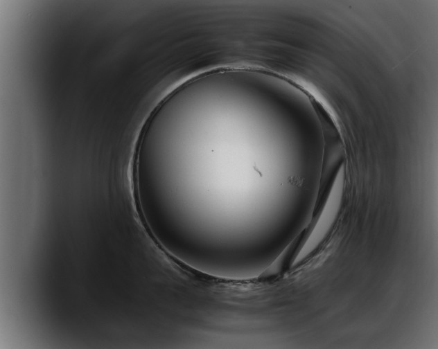 X0000088360959200705291305