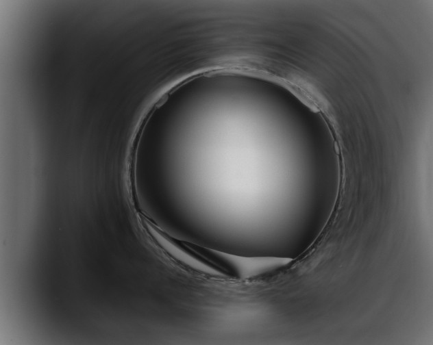 X0000088360960200705291305