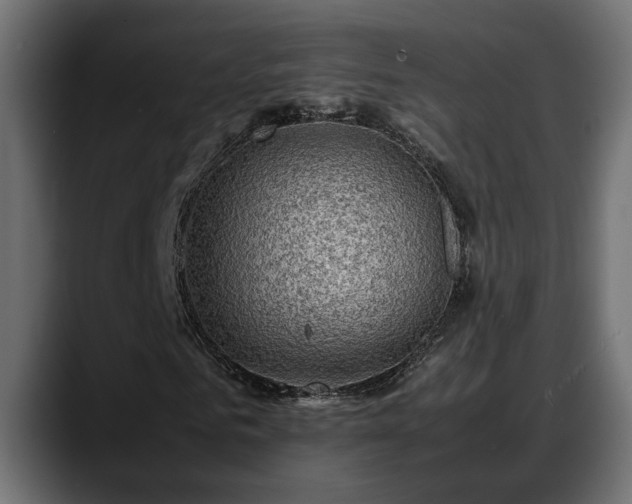 X0000088360961200705291304