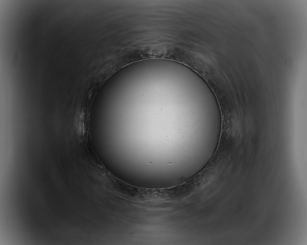 X0000088360962200705291304