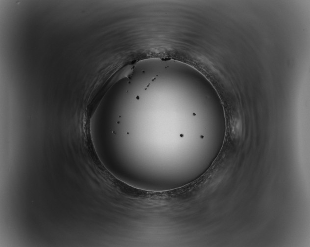 X0000088360964200705291304