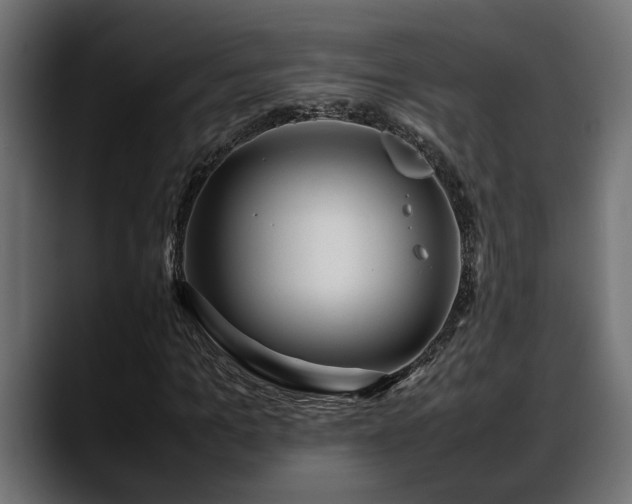 X0000088360965200705291304