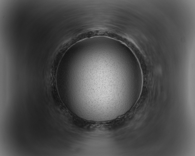 X0000088360967200705291304