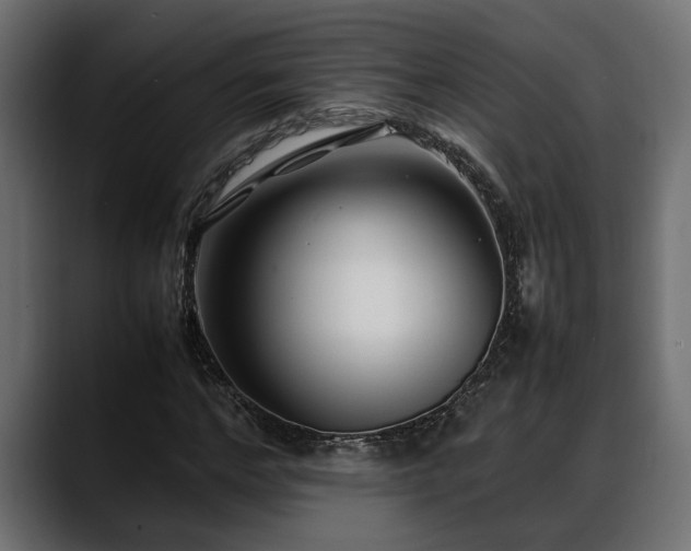 X0000088360968200705291304