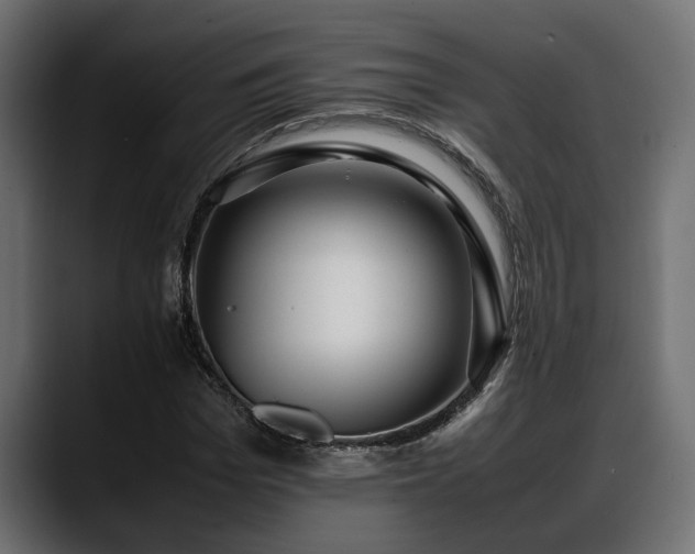 X0000088360969200705291304