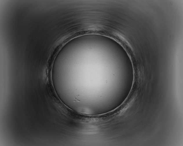 X0000088360970200705291304