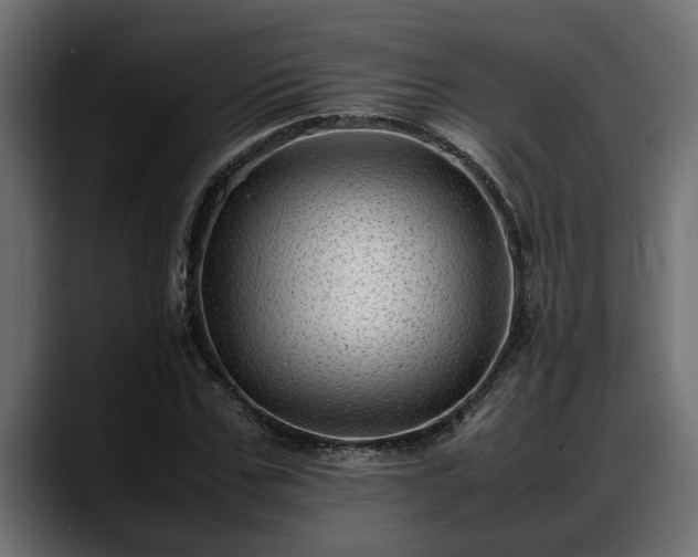 X0000088360971200705291304