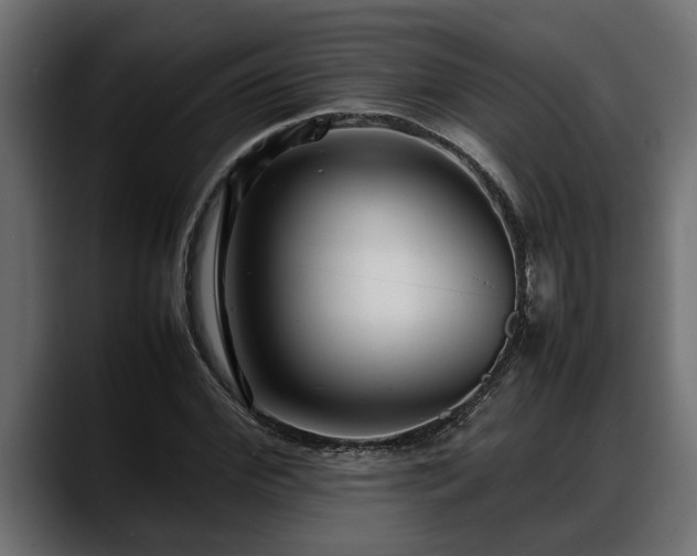 X0000088360972200705291304