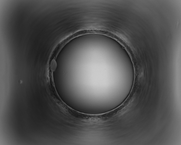 X0000088360974200705291304