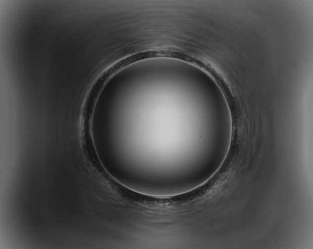 X0000088360975200705291304