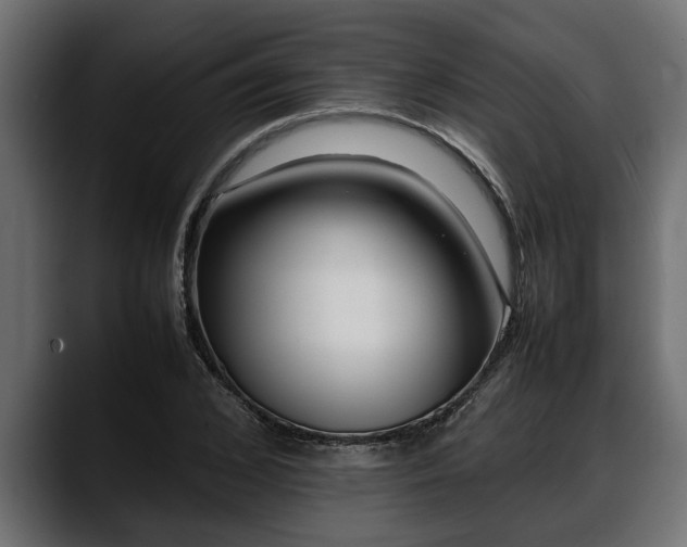 X0000088360976200705291304