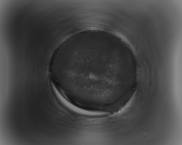 X0000088360977200705291304