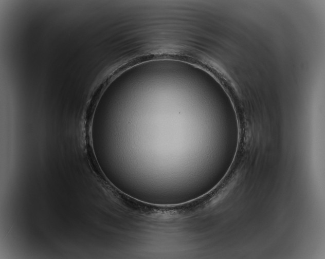 X0000088360978200705291304