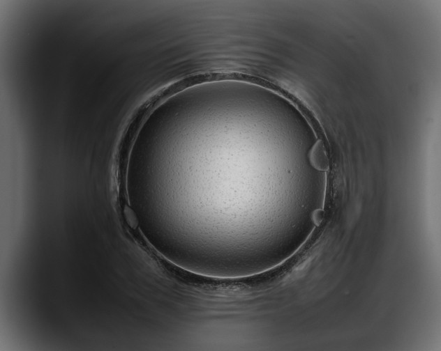 X0000088360979200705291304