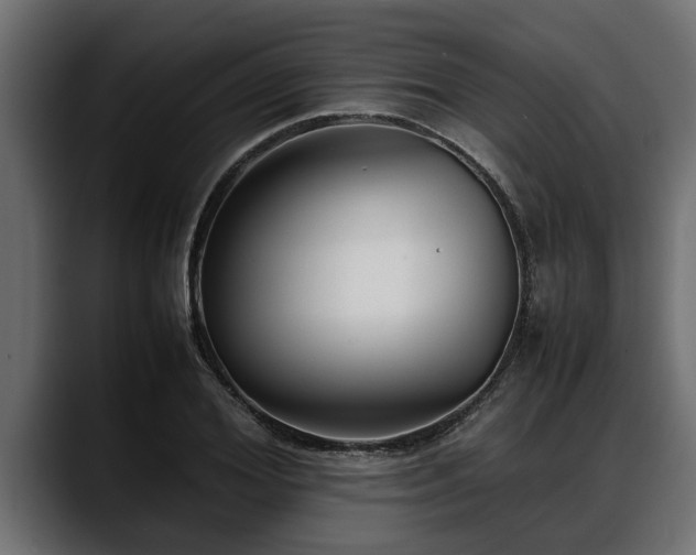 X0000088360980200705291304