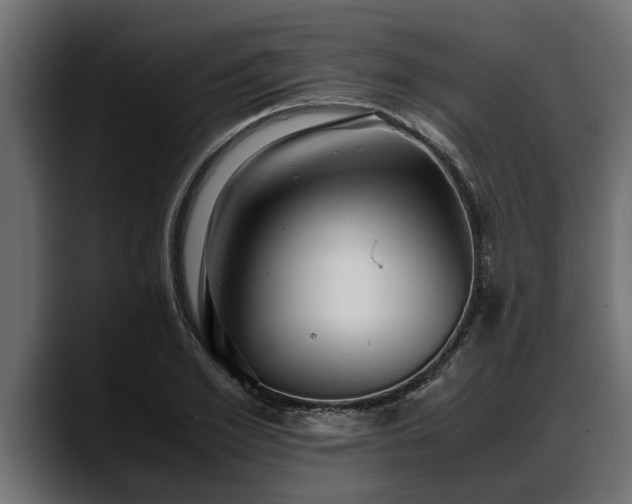 X0000088360981200705291304