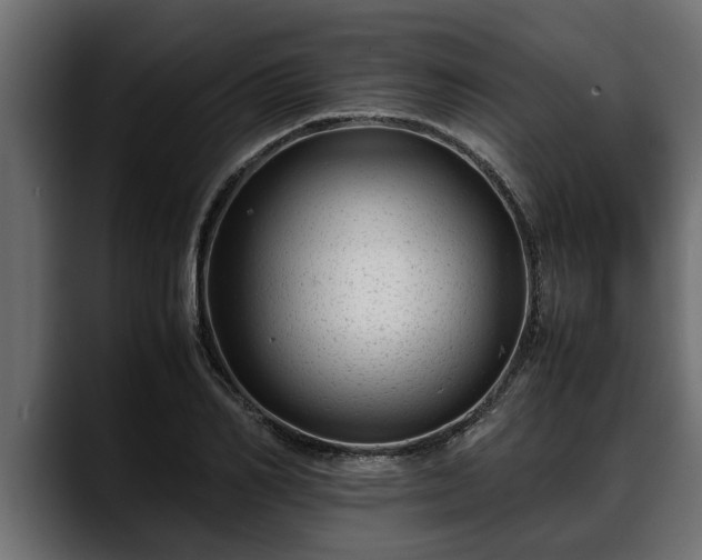 X0000088360982200705291304