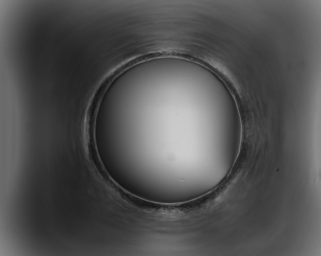 X0000088360983200705291304