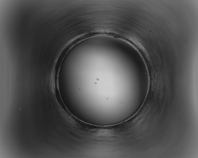 X0000088360984200705291304