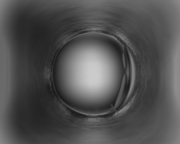 X0000088360985200705291304