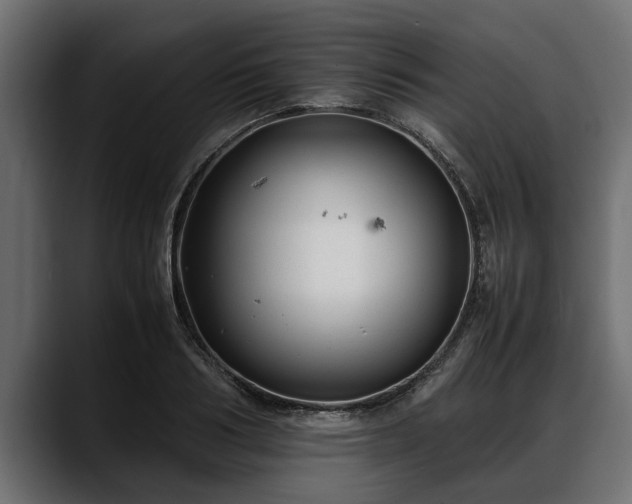 X0000088360986200705291304