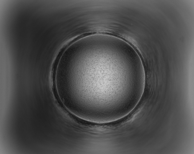 X0000088360987200705291304