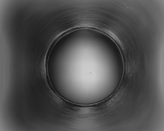 X0000088360988200705291304