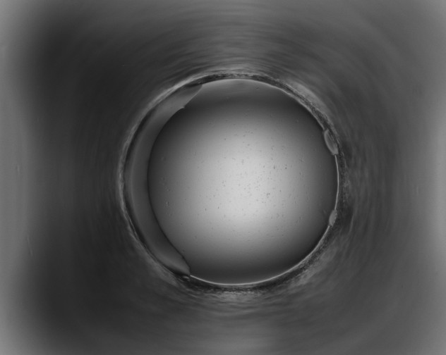 X0000088360989200705291304