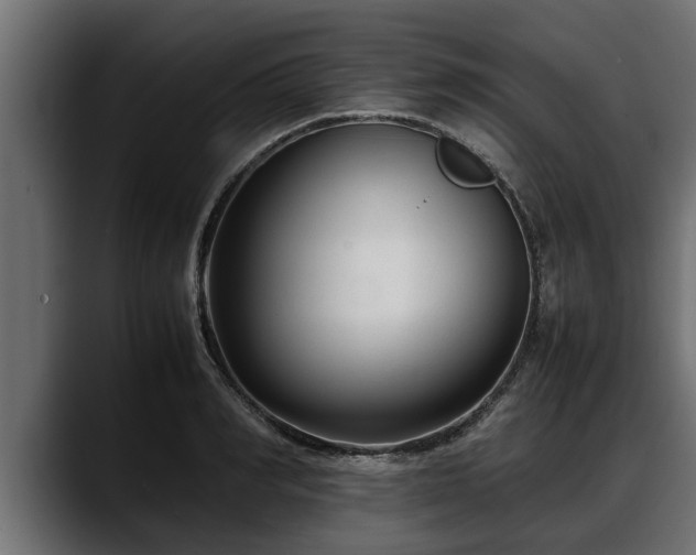 X0000088360990200705291304