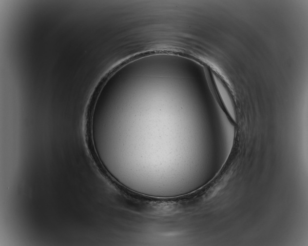 X0000088360991200705291304