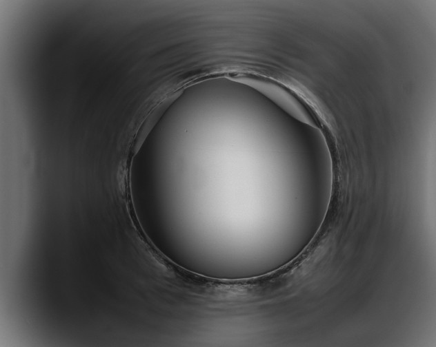 X0000088360993200705291304