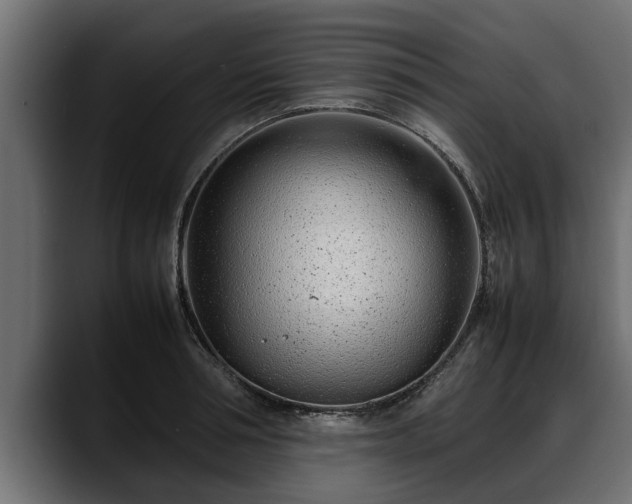 X0000088360994200705291304