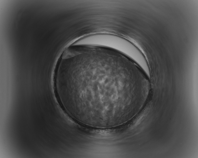 X0000088360995200705291304