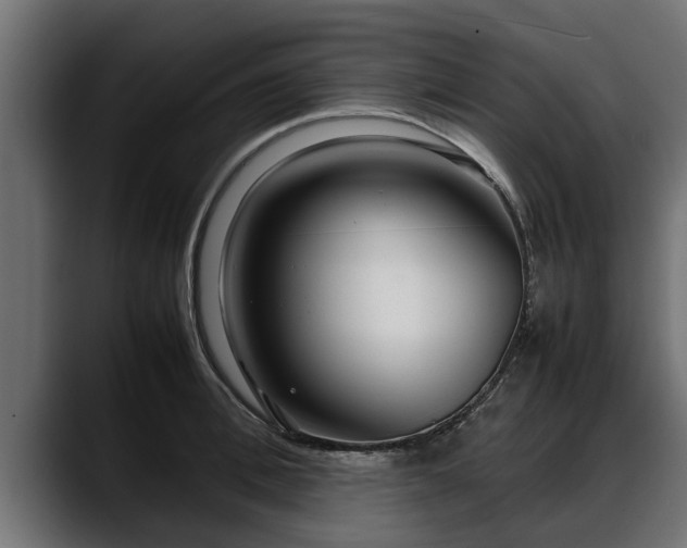 X0000088360996200705291304