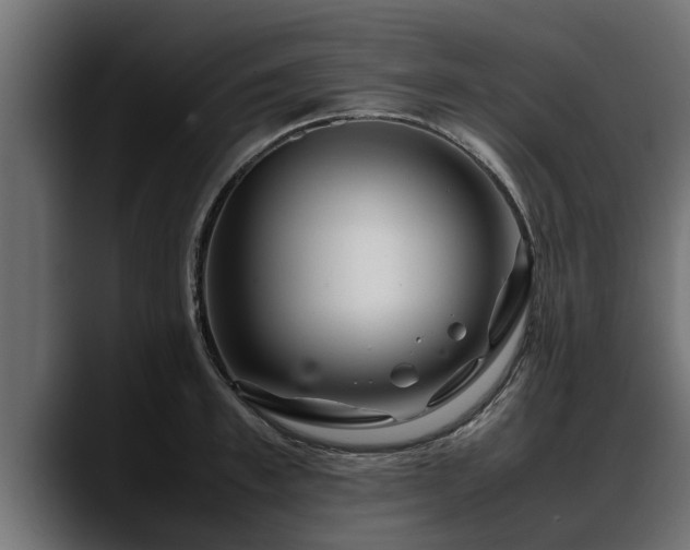 X0000088360997200705291304