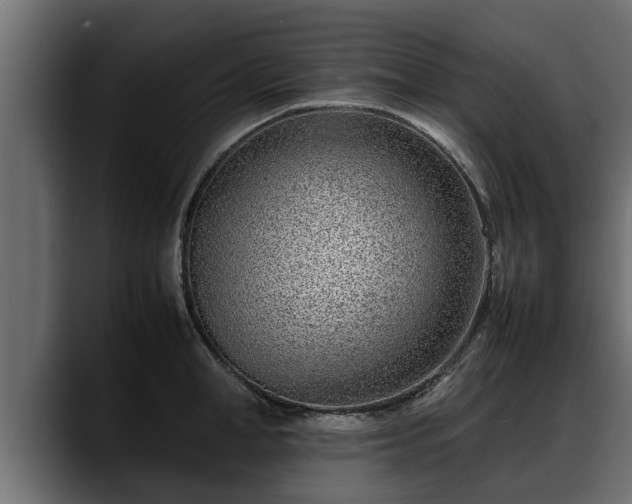 X0000088360998200705291304