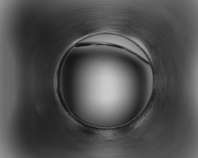 X0000088360999200705291303