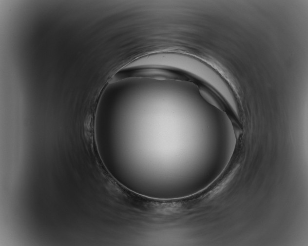 X0000088361001200705291303