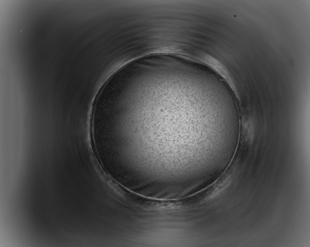 X0000088361002200705291303