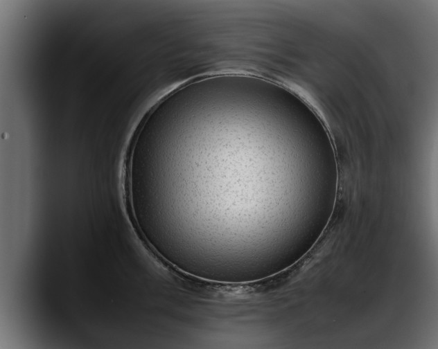 X0000088361003200705291303