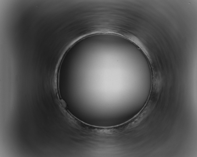 X0000088361004200705291303