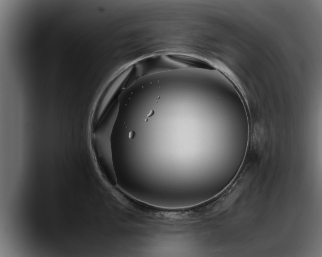 X0000088361005200705291303